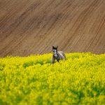 Jak dopasować zakład pogrzebowy? Poradnik dla osób w żałobie.